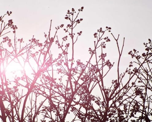 Dépendance au dirigeant PME Luxembourg - transmission entreprise - Actoria Luxembourg