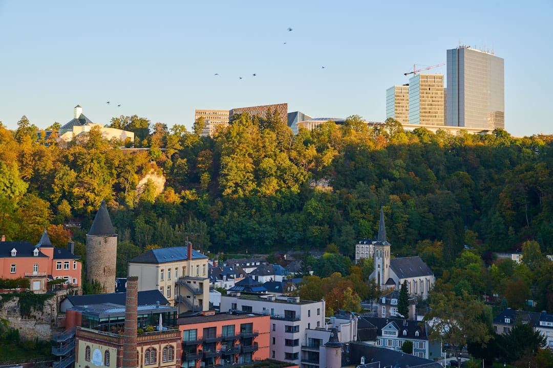Les 5 menaces qui pèsent sur un chef d'entreprise proche de la retraite au Luxembourg - business - analyse financière business
